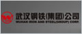 武漢鋼鐵集團公司
