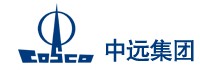 中國遠(yuǎn)洋運輸（集團(tuán)）公司